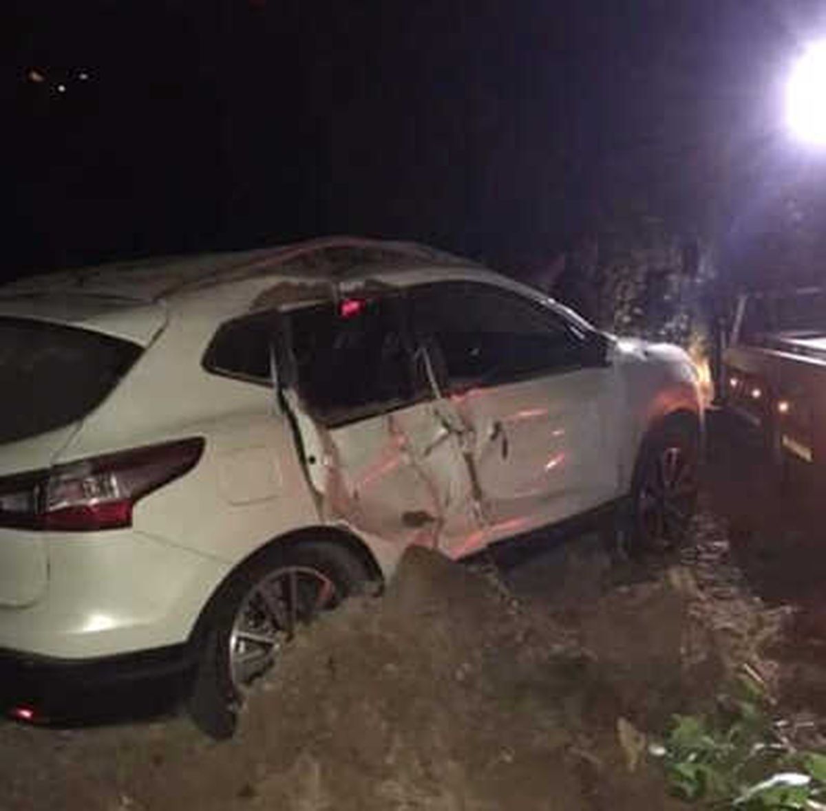 Trabzon\'da Ağaç Otomobilin Üstüne Devrildi
