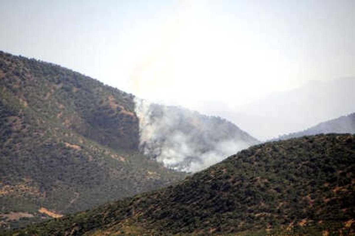 Tunceli\'de Orman Yangını
