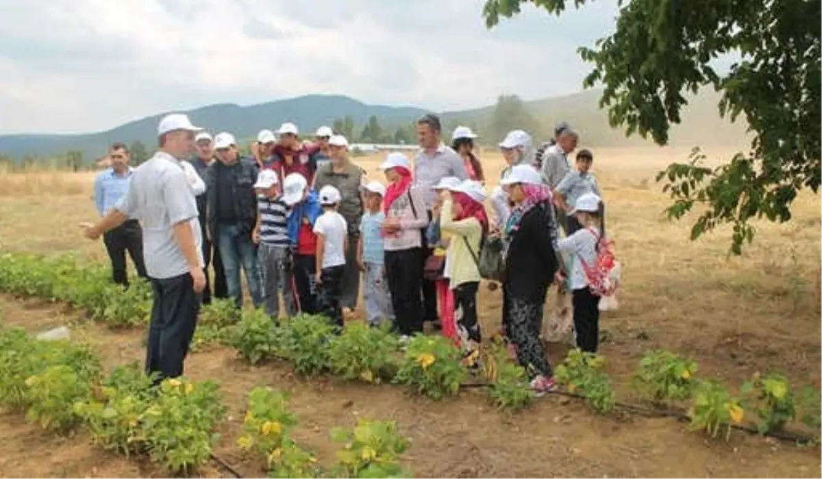 Çocuklara Doğayı ve Tarımı Sevdirmek İçin "Tarım ve Çocuk" Etkinliği Düzenlendi