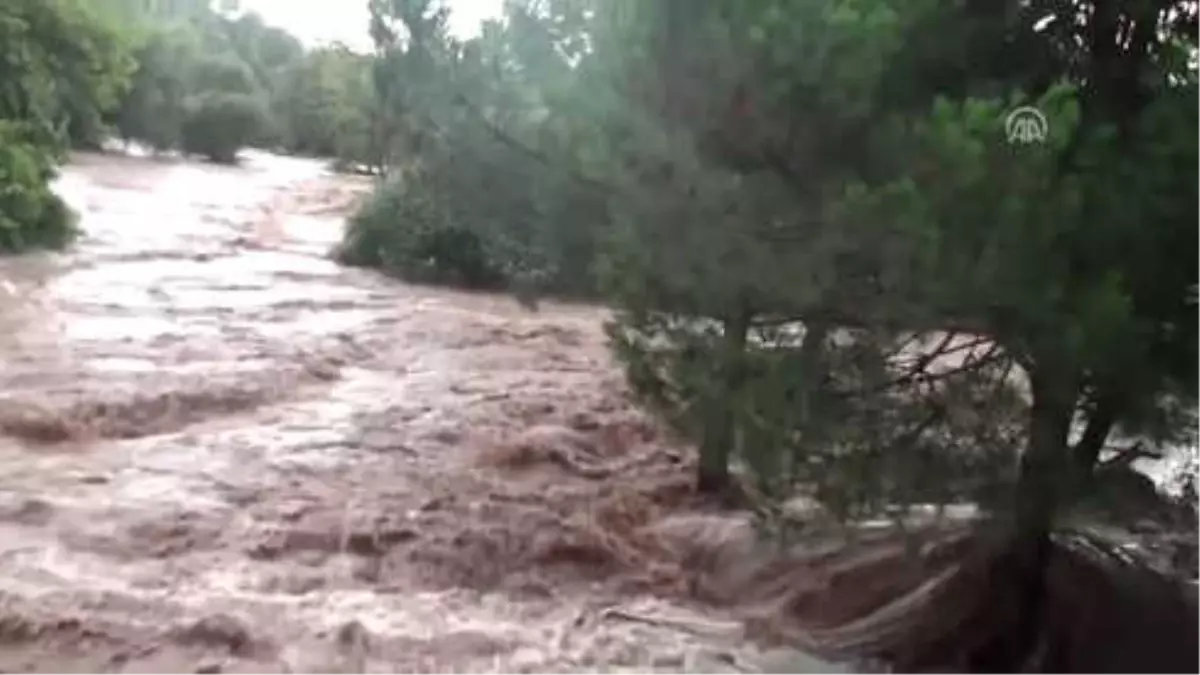 Dere Taştı, Piknikçiler Ağaçlarda Mahsur Kaldı (2)