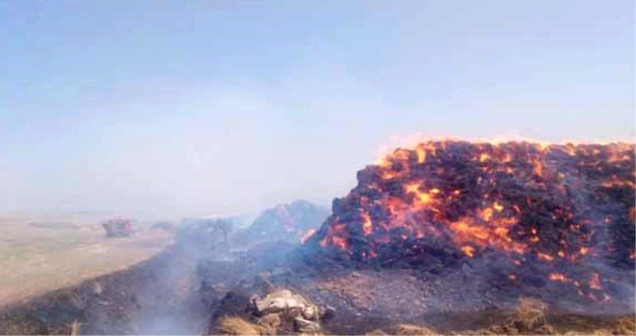 Gaziantep\'te Çıkan Yangın Sonrası 250 Bin Lira Değerindeki Yem Kül Oldu