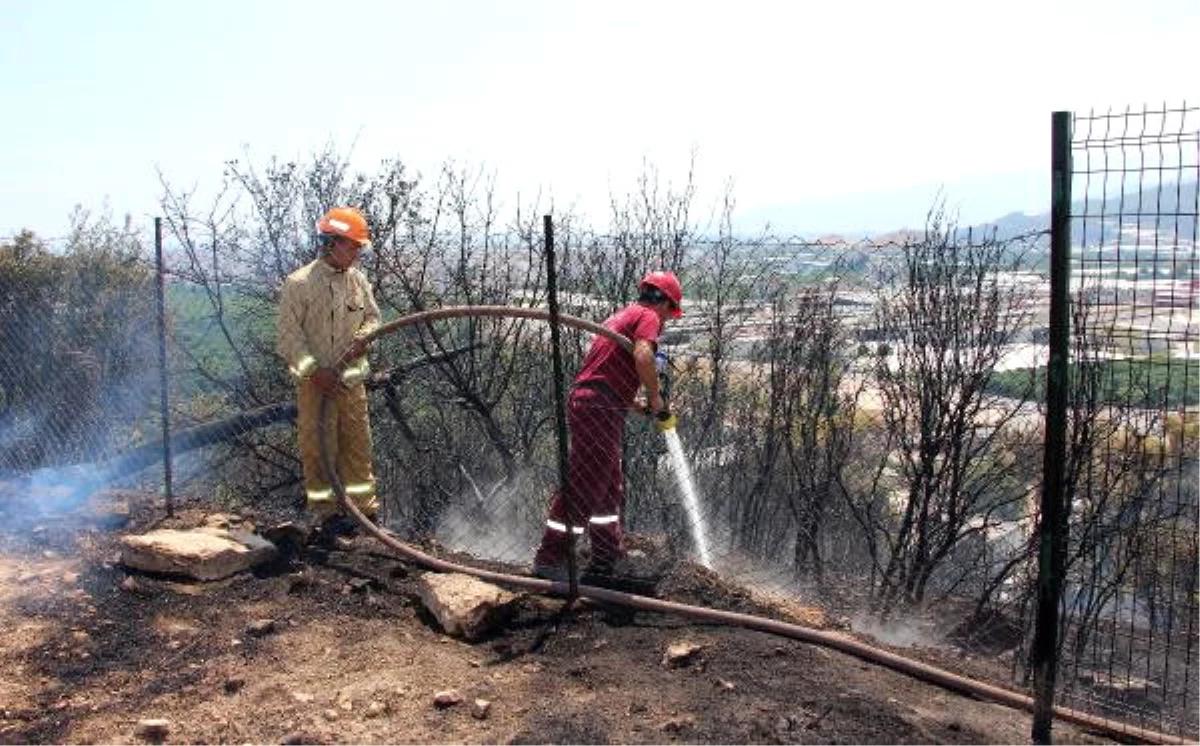 Kumluca\'da Orman Yangını Büyümeden Söndürüldü