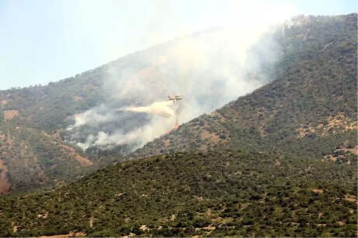 Tunceli\'deki Orman Yangınına Havadan ve Karadan Müdahale Ediliyor