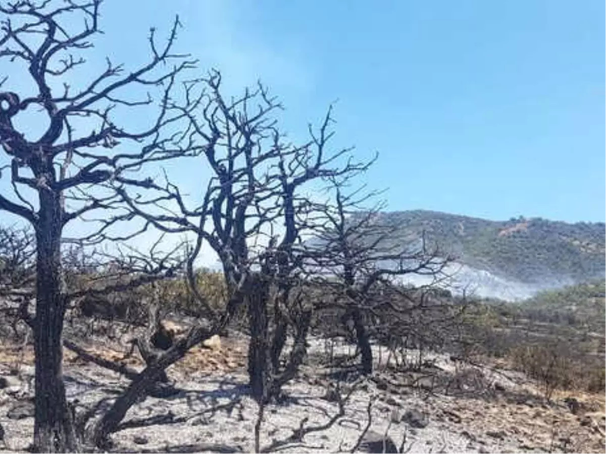 Tunceli\'de 3 Gündür Süren Yangın Söndürüldü