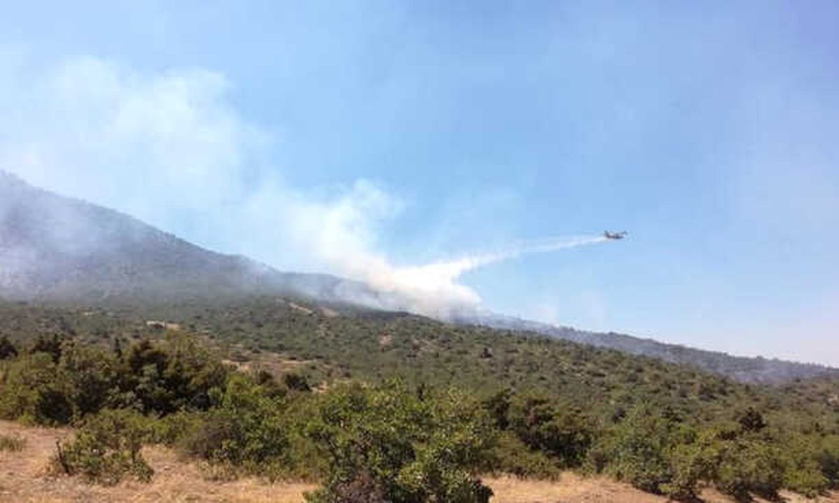 Tunceli\'deki Orman Yangını Söndürüldü
