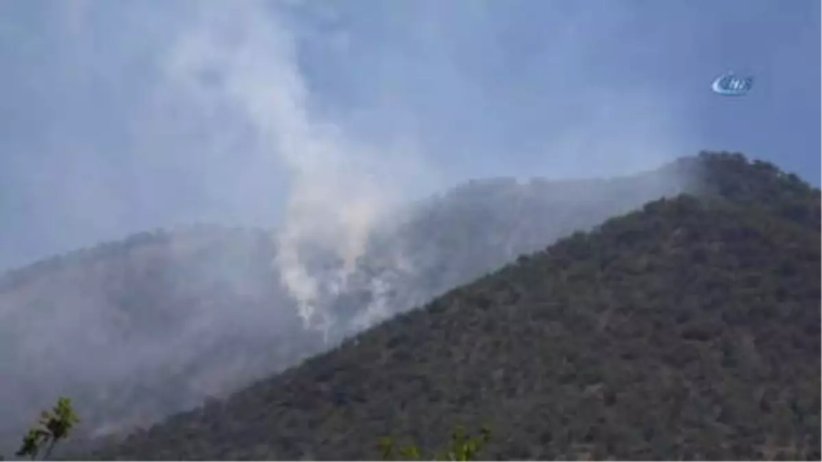 Tunceli\'deki Orman Yangını Söndürüldü