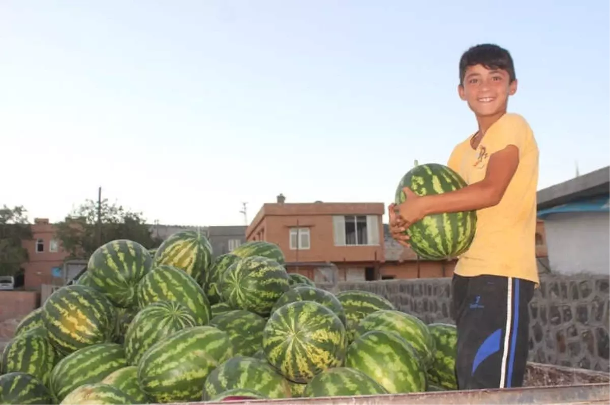 Yavuzeli Çiftçisinden Organik Tarım Tavsiyesi