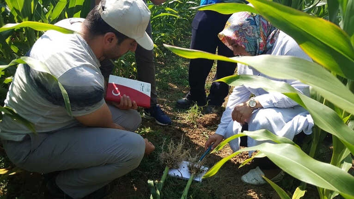 Büyükşehir\'in Çiftçiye Desteği Sürüyor