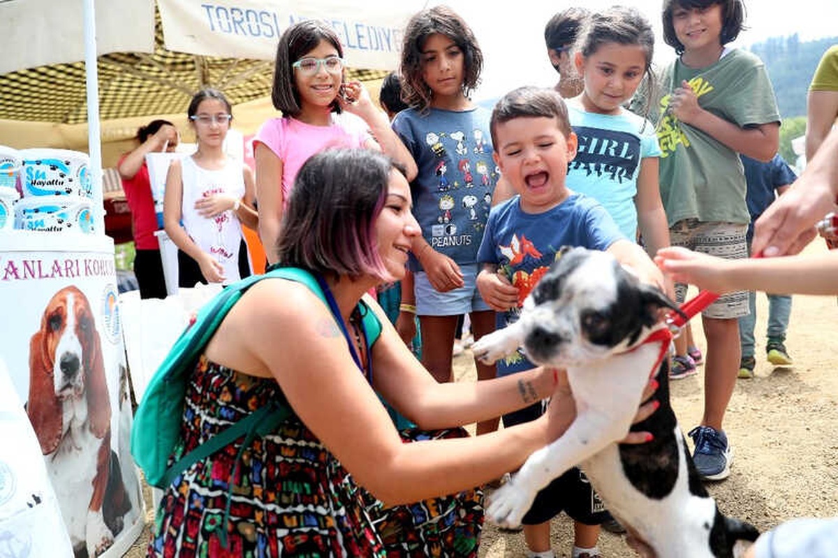 Büyükşehir, Şaymana Fest\'te Kedi ve Köpekler İçin Stant Açtı
