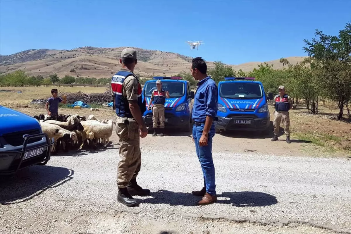 Elazığ\'da Kayıp Koyunlar Uçangözle Bulundu