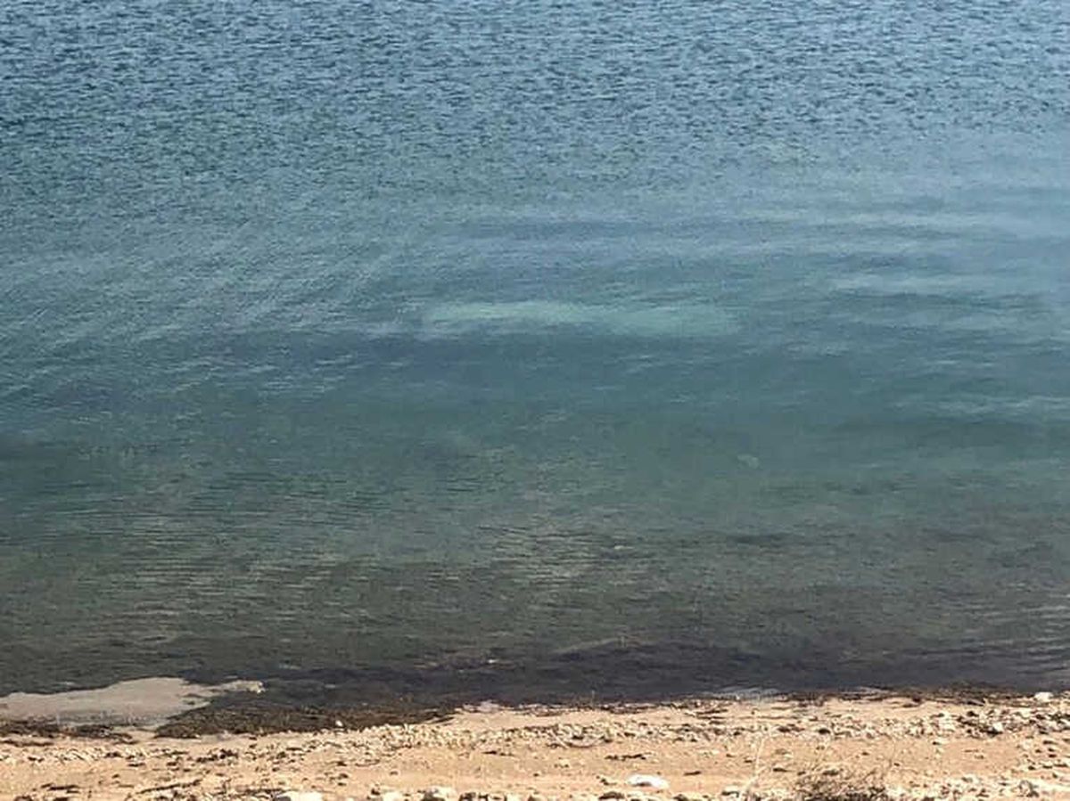 Barajdan Çalıntı Kamyonet Çıktı