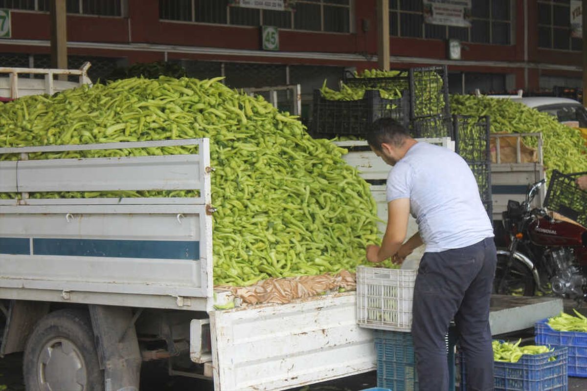 Çiftçilerin Ürünleri Değerini Buldu