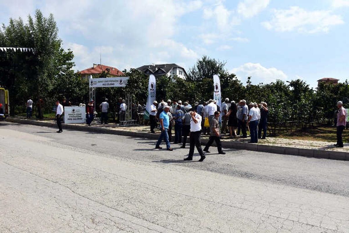 Ferrero, Fındık Üreticilerini Bahçelerde Bilgilendiriyor