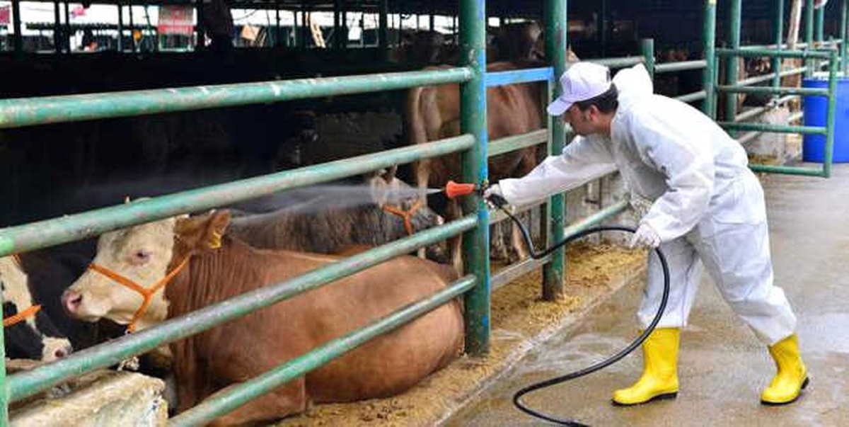 Kırklareli\'nde Kurban Satış ve Kesim Yerleri Belirlendi