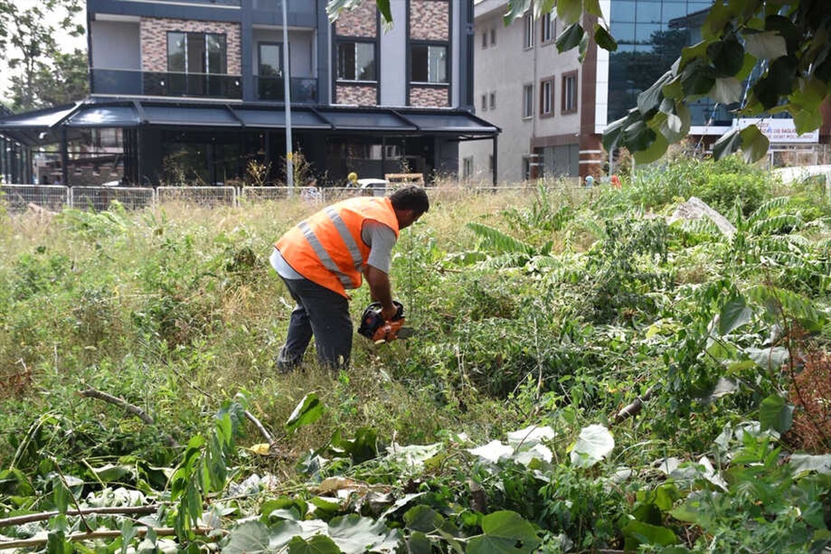 Kültür Mahalesi\'nde Park Temizliği Çalışması