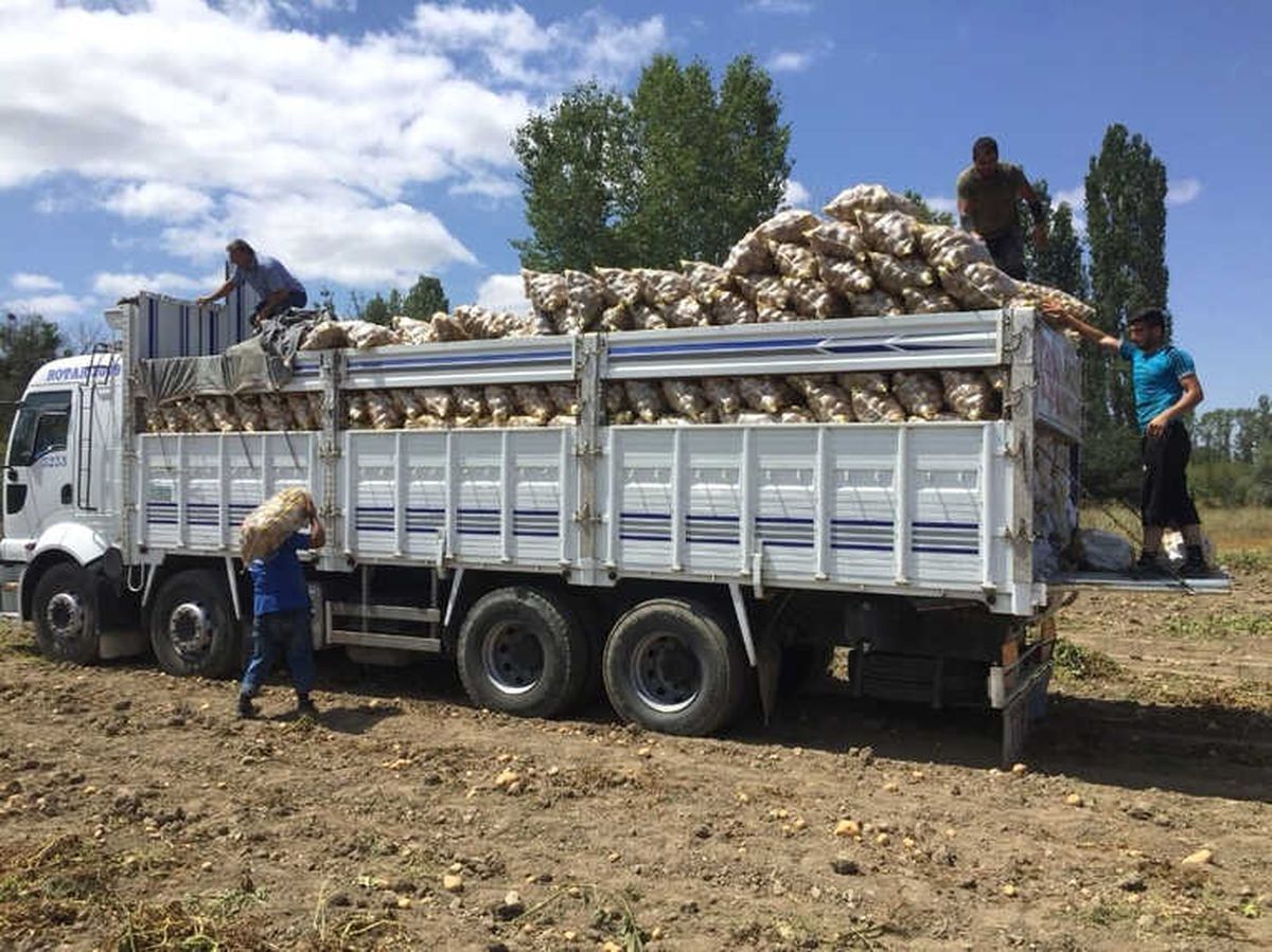 Yozgat\'ta Patates ve Soğan Hasadı Devam Ediyor