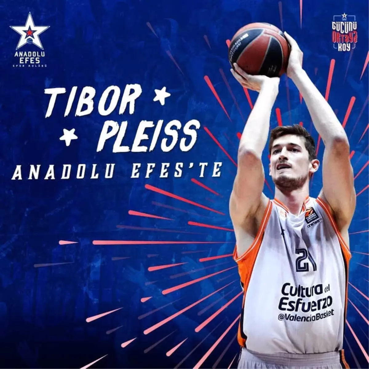 Anadolu Efes, Tibor Pleiss ile Anlaştı