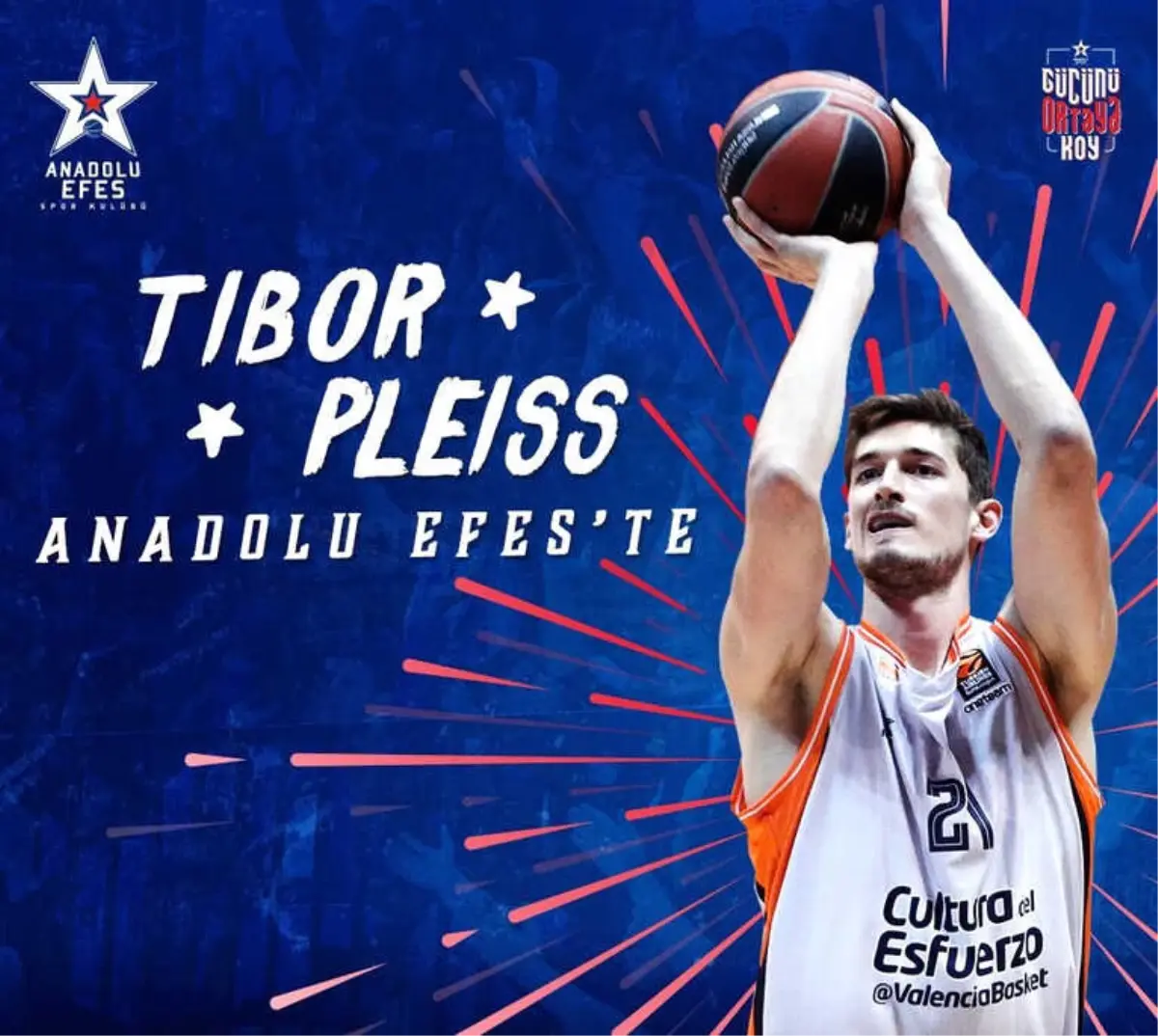 Anadolu Efes Tibor Pleiss ile Anlaştı