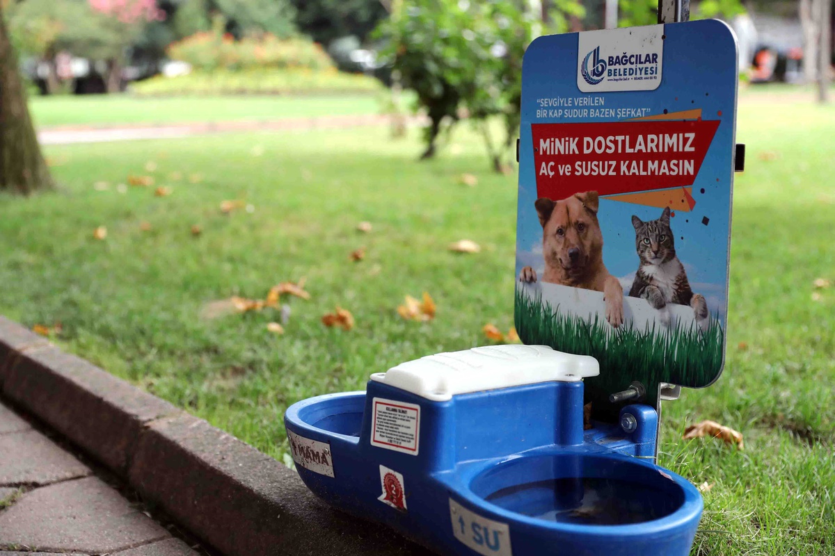 Bağcılar\'daki Parklarda Sokak Hayvanlarına Su Ve Mama Hizmeti