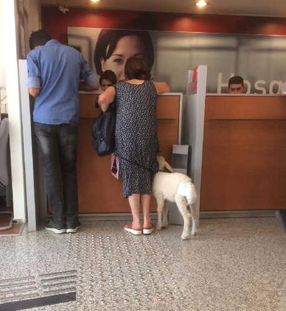 Bankaya Kuzu ile Geldi