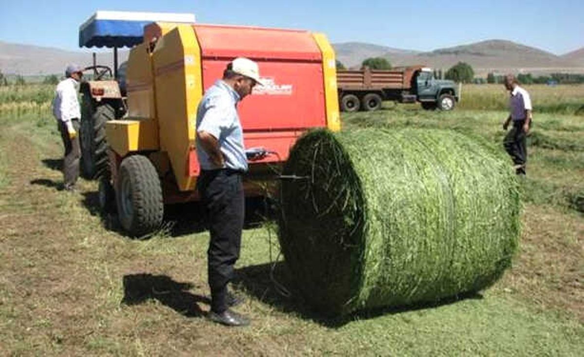 Çavdarhisar\'da Çiftçilere Uygulamalı \'Süt Sığırı Yetiştiriciliği\' Kursu