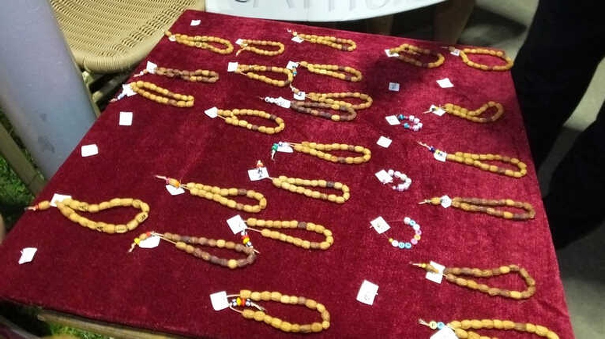Çocukların Yaptığı Zeytin Çekirdeği Tespihler Can Dostlarına Mama Olacak