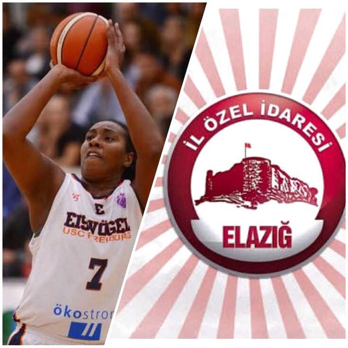 Elazığ İl Özel İdare\'ye İsrail\'den Pivot