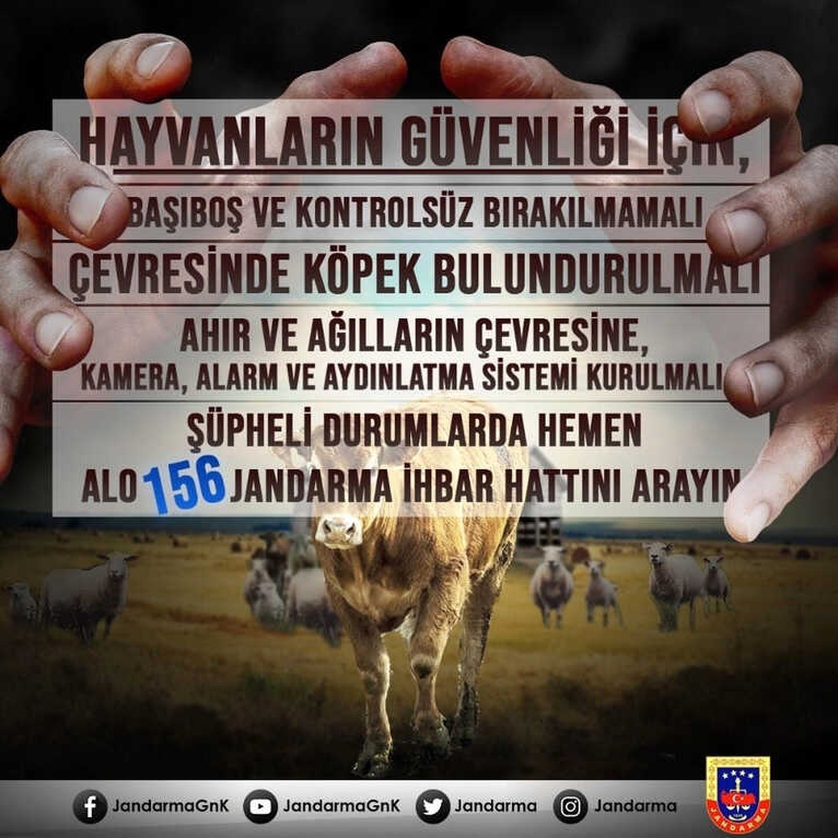 Jandarma\'dan Hayvan Hırsızlığına Karşı Uyarı