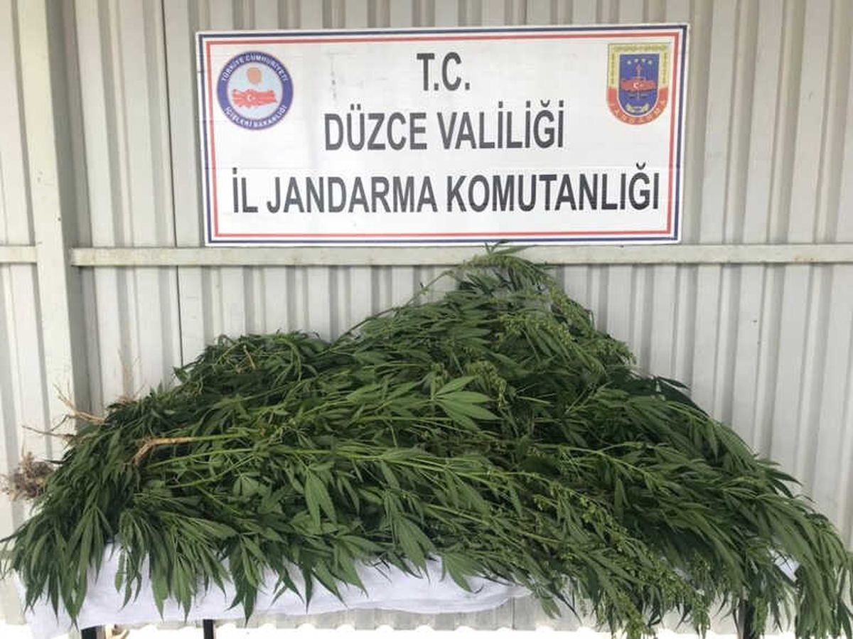 Jandarma\'dan Kenevir Operasyonu