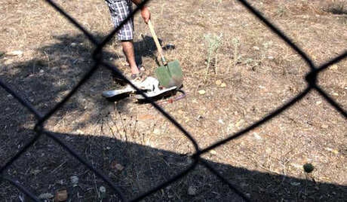 Şahine Kürekle Saldırıya 9 Bin 565 Lira Ceza