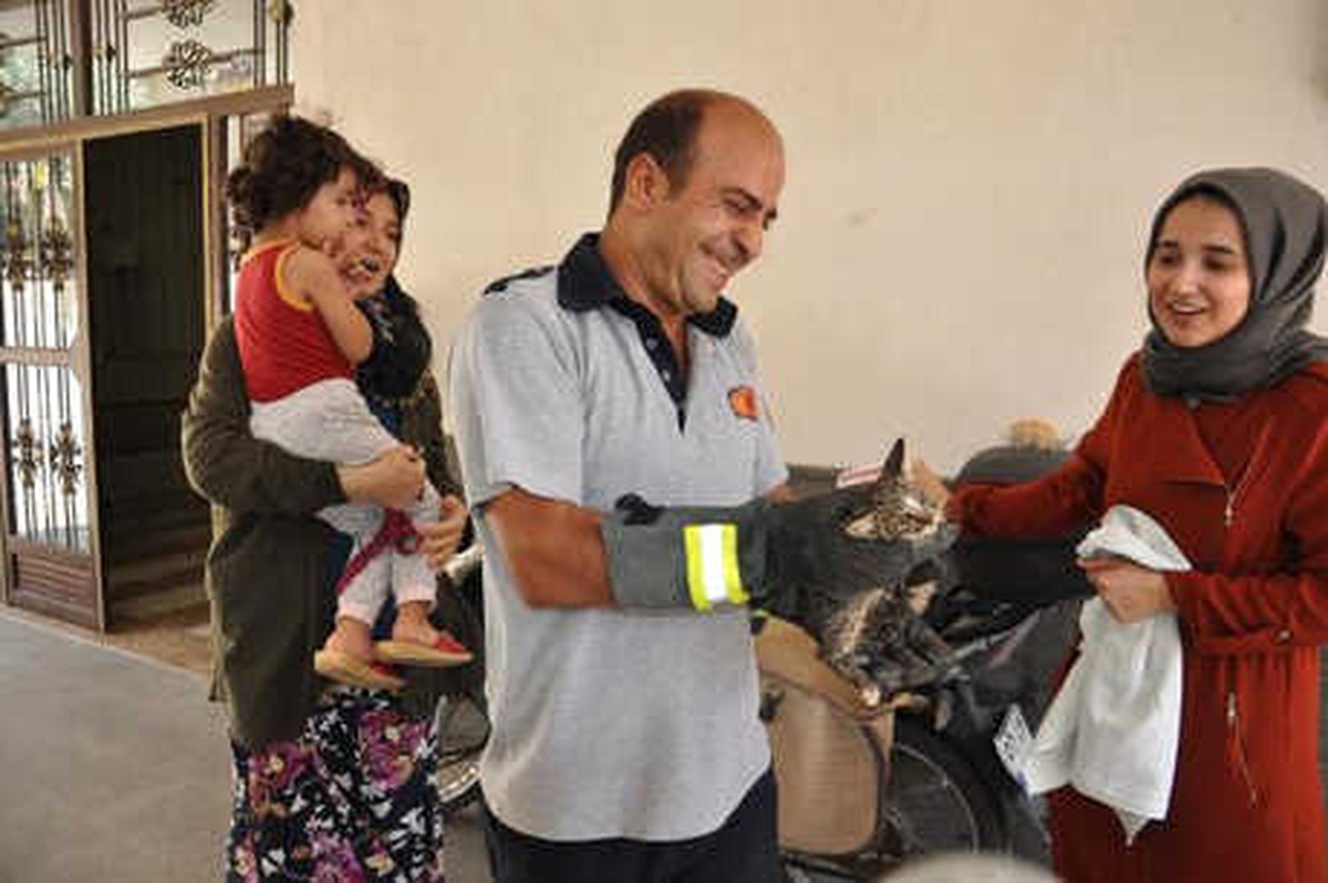 3 Gündür Mahsur Yavru Kediyi İtfaiye Kurtardı