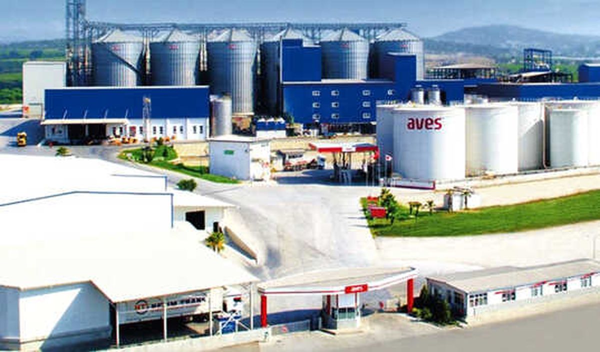 Aves, Safya ile Ayçiçek Yağında 3. Marka Olacak