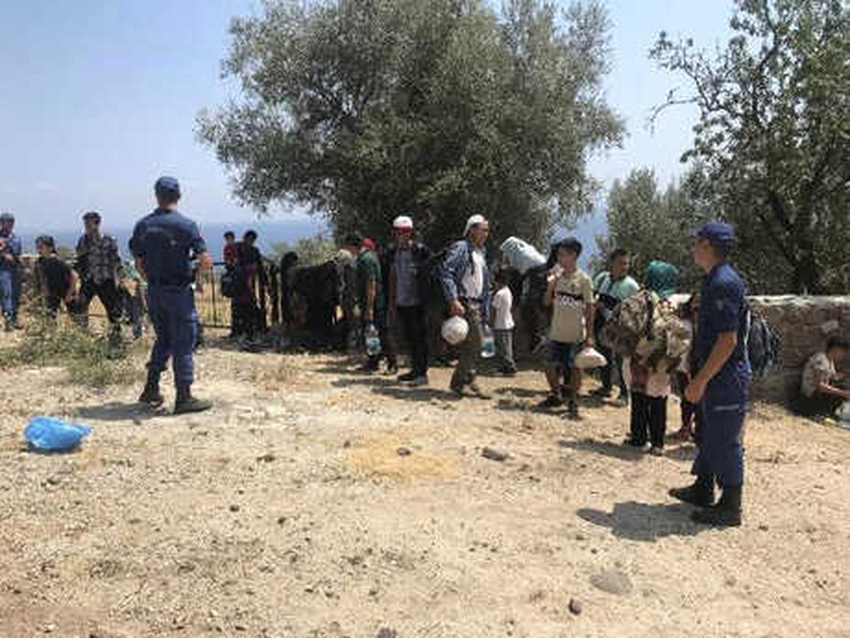 Çanakkale\'de Zeytinliklerde 45 Kaçak Göçmen Yakalandı
