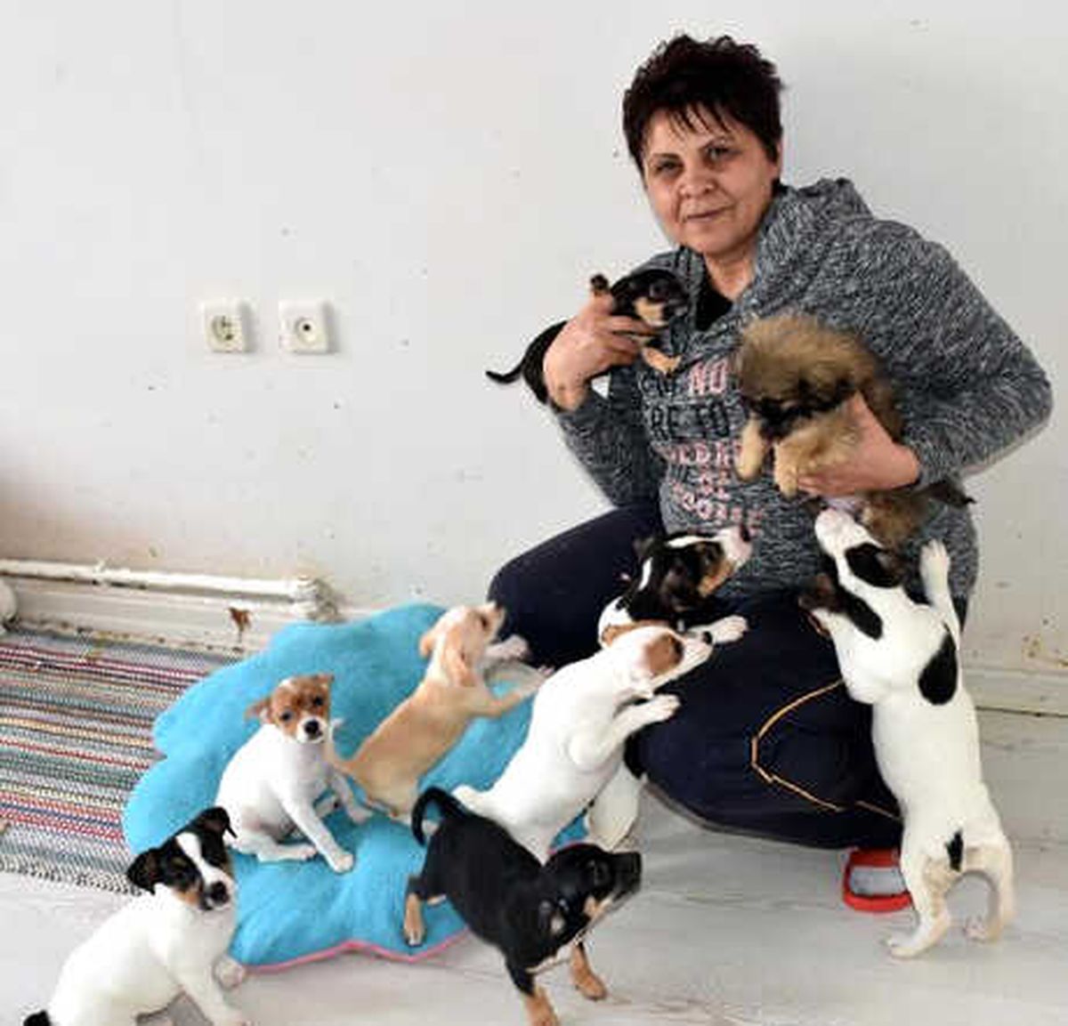 Hayvansever Nurhan Kalenler Evinde Ölü Bulundu