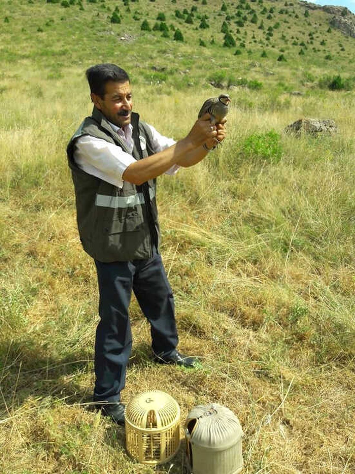Kınalı Keklikler Yeniden Özgür