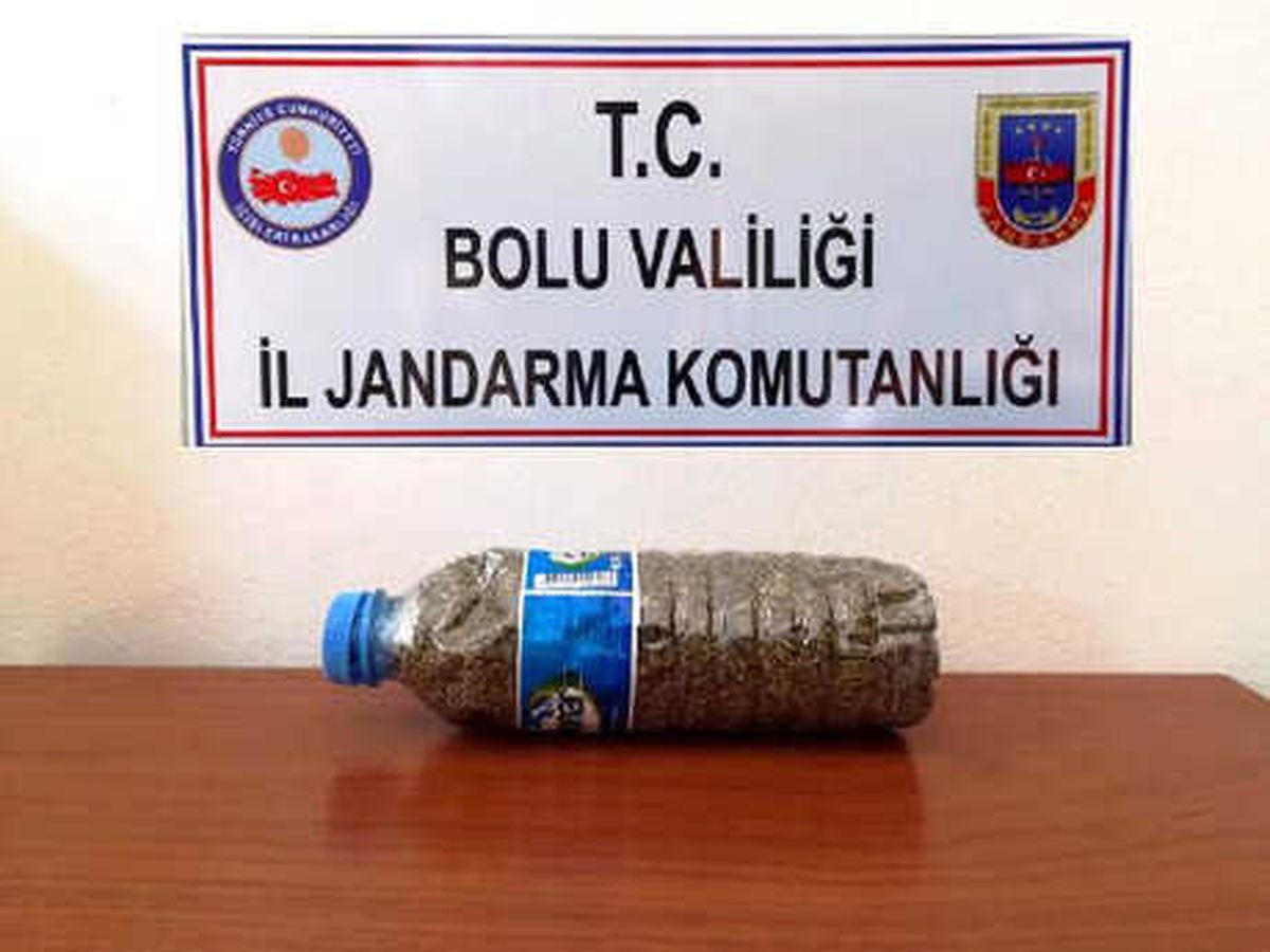 Pet Şişeden Bonzai Çıktı