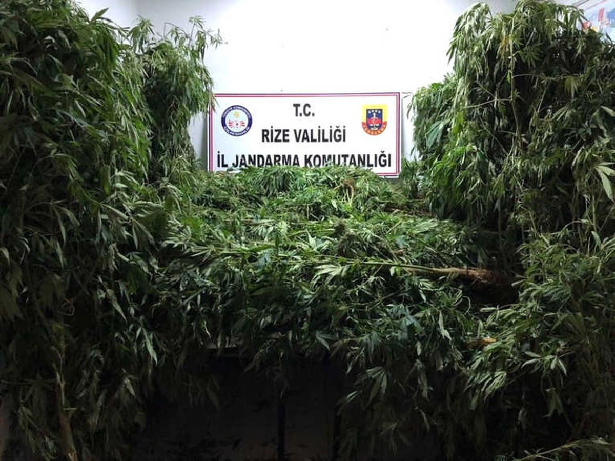 Rize\'de Jandarma Operasyonu