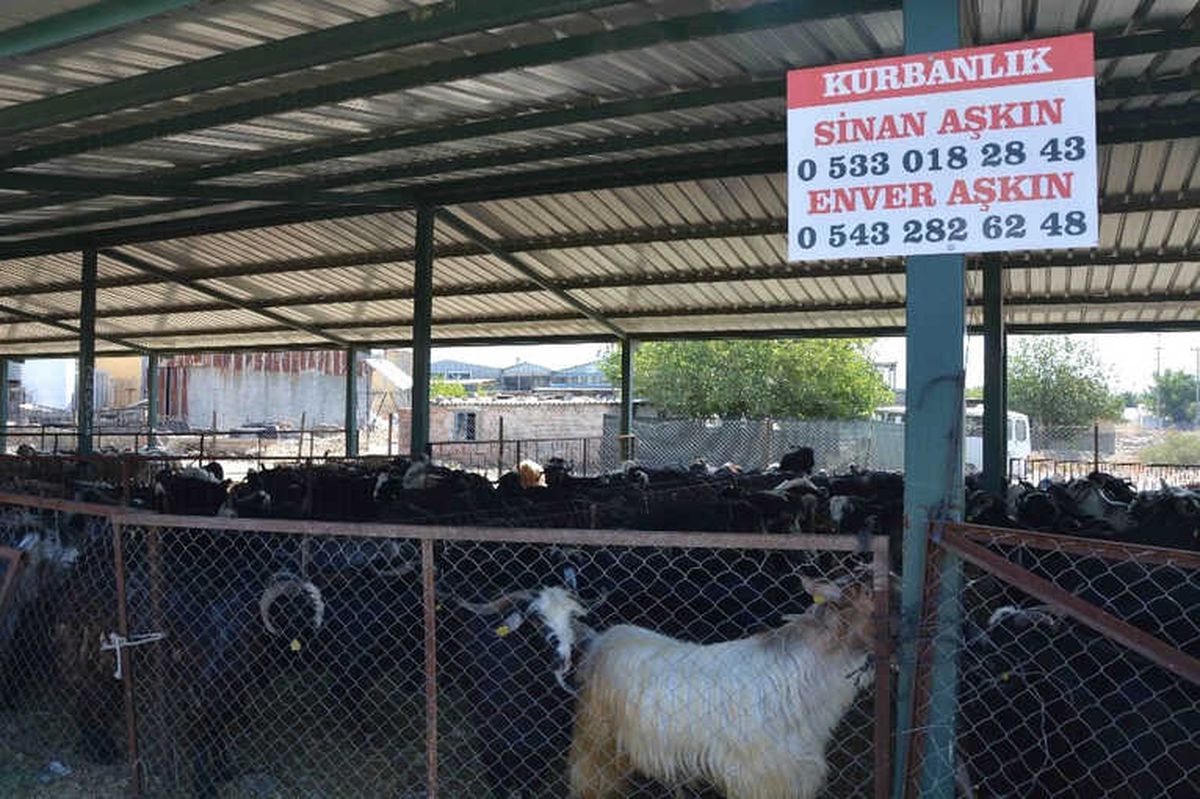 Kurban Pazarı Hareketlendi