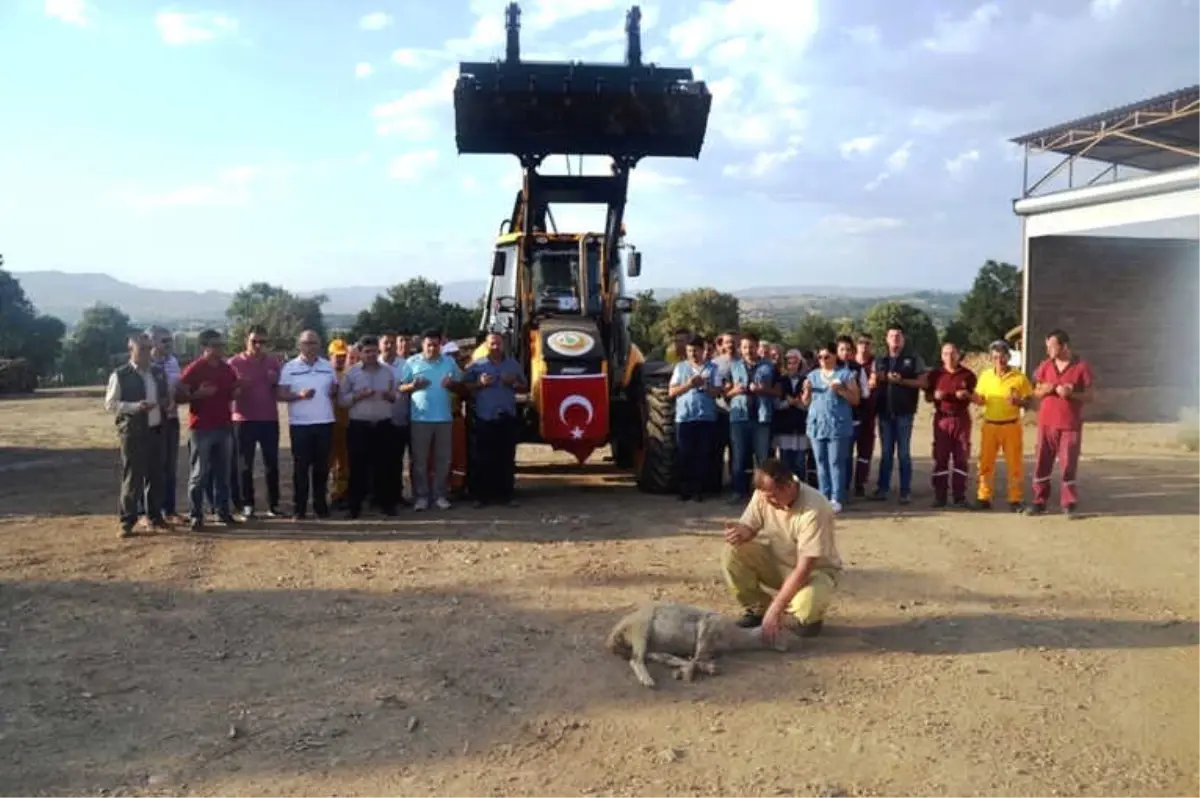 Kütahya Orman Bölge Müdürlüğü\'nün Araç Filosu Genişliyor