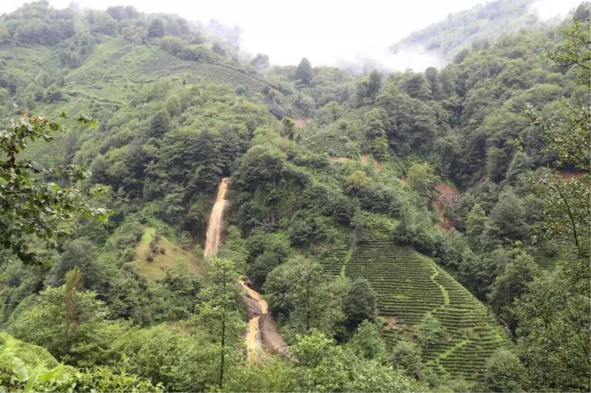 Rize\'de Heyelanın Ardından Dereler Çamur Akıyor