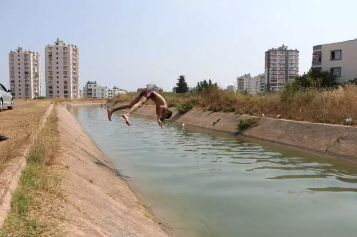 Tehlikeyi Bile Bile Atlıyorlar