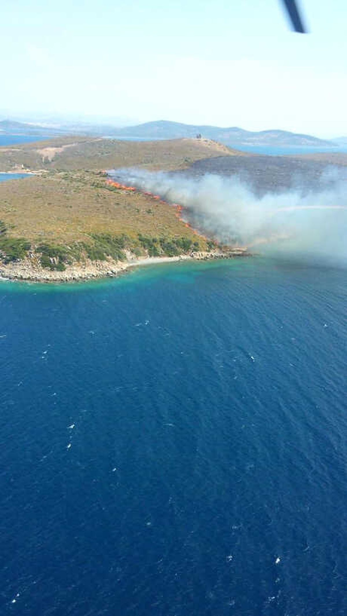 Ayvalık\'ın Maden Adası\'nda Orman Yangını