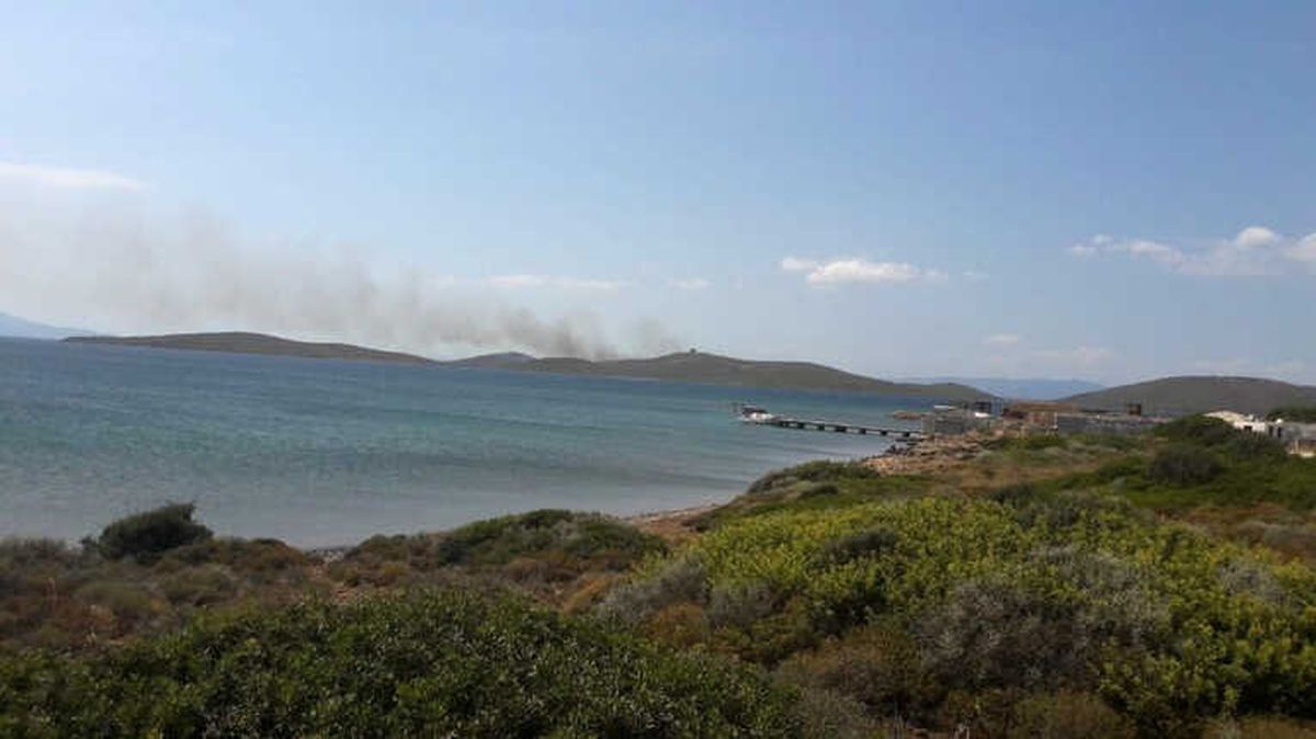 Ayvalık Maden Adasında Orman Yangını
