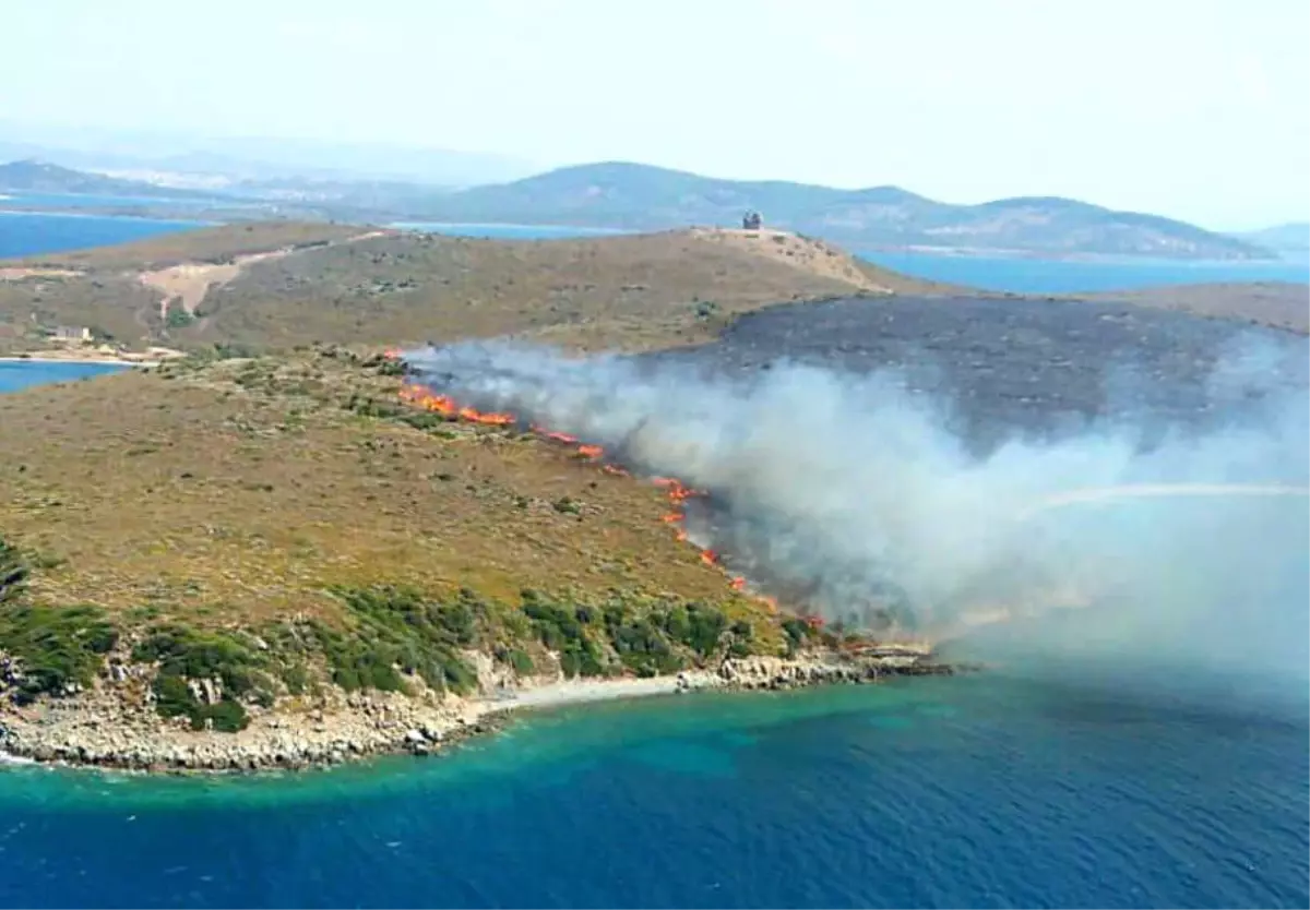 Ayvalık Maden Adasında Orman Yangını Kontrol Altına Alındı