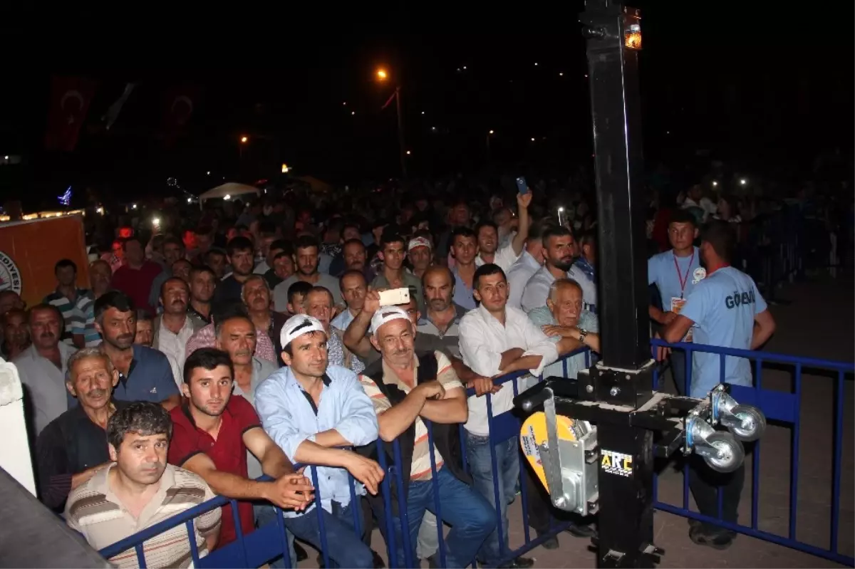 Doğanyurt Bal Festivali Başladı