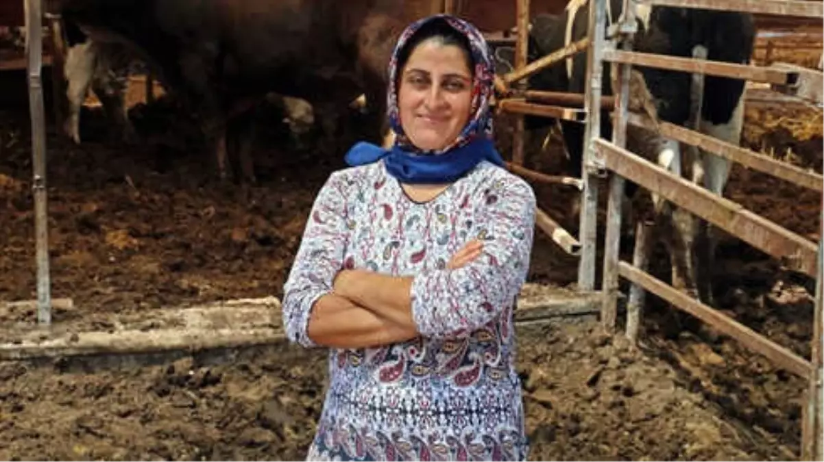 4 Bileziğini Satarak Hayvancılığa Başladı, Şimdi Paraya Para Demiyor