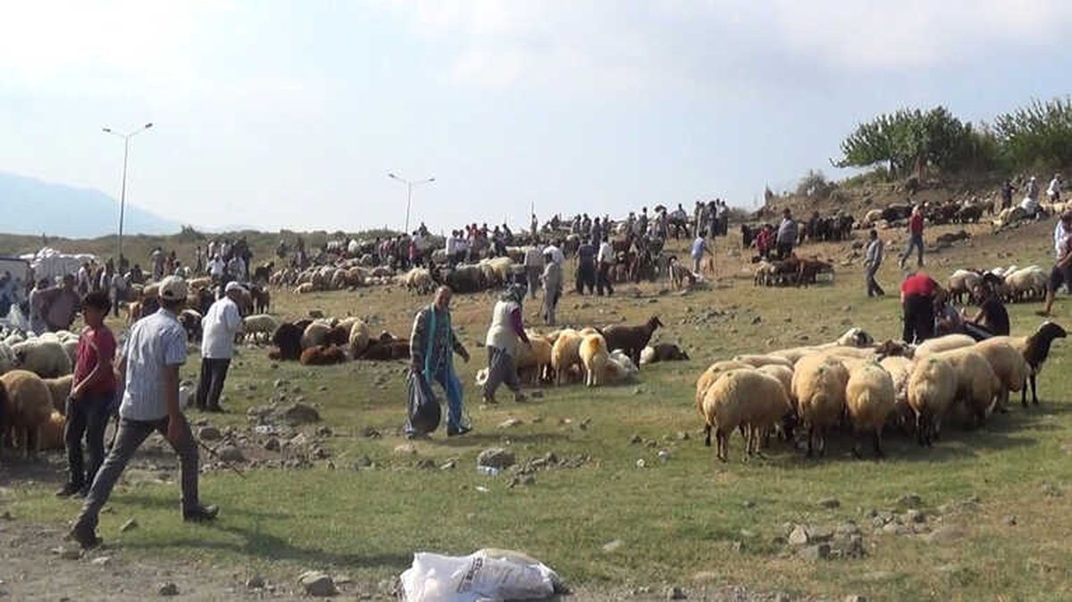 Gözünde, Burnunda Akıntı Olan Kurbanlık Almayın