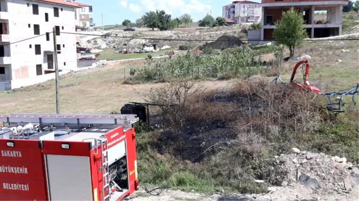 Kulübesi Yanan Köpek Yürek Burktu