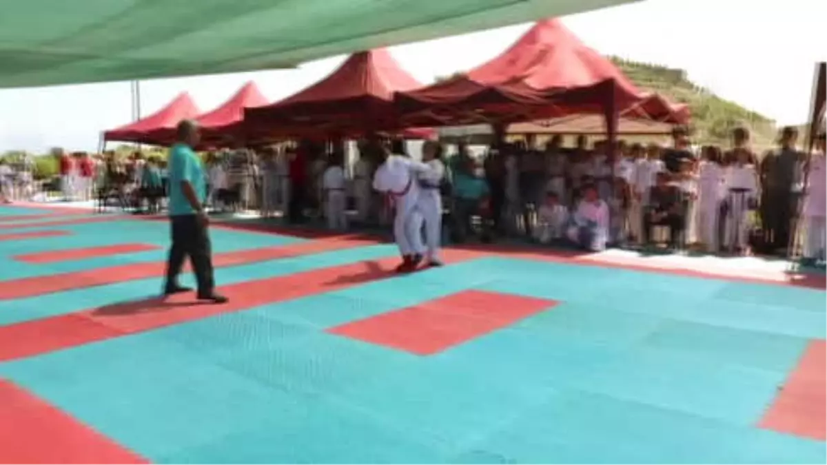 Uluslararası Haldun Alagaş Karate Turnuvası