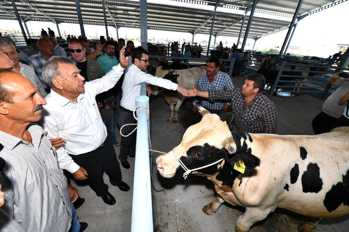 Bakırçay\'ın En Büyük Hayvan Pazarı Açıldı